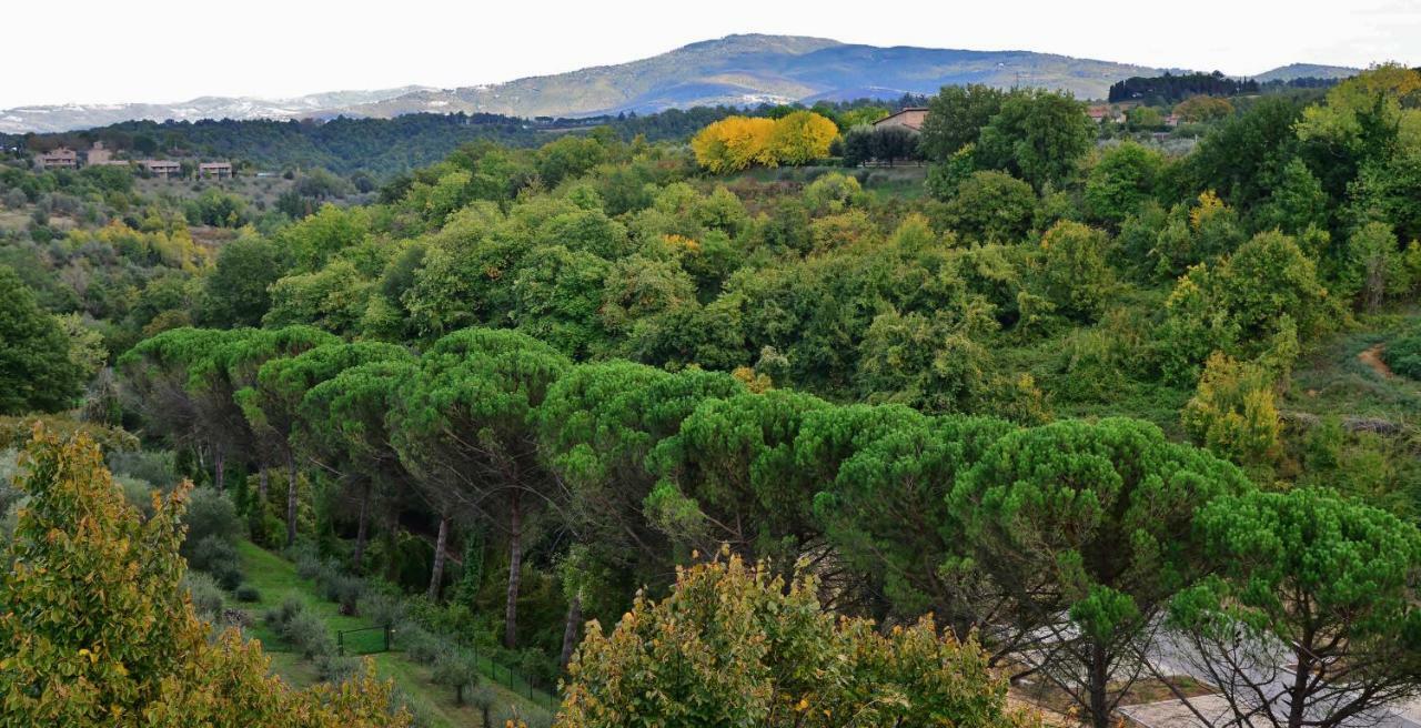 Pieve Suites Città della Pieve Esterno foto